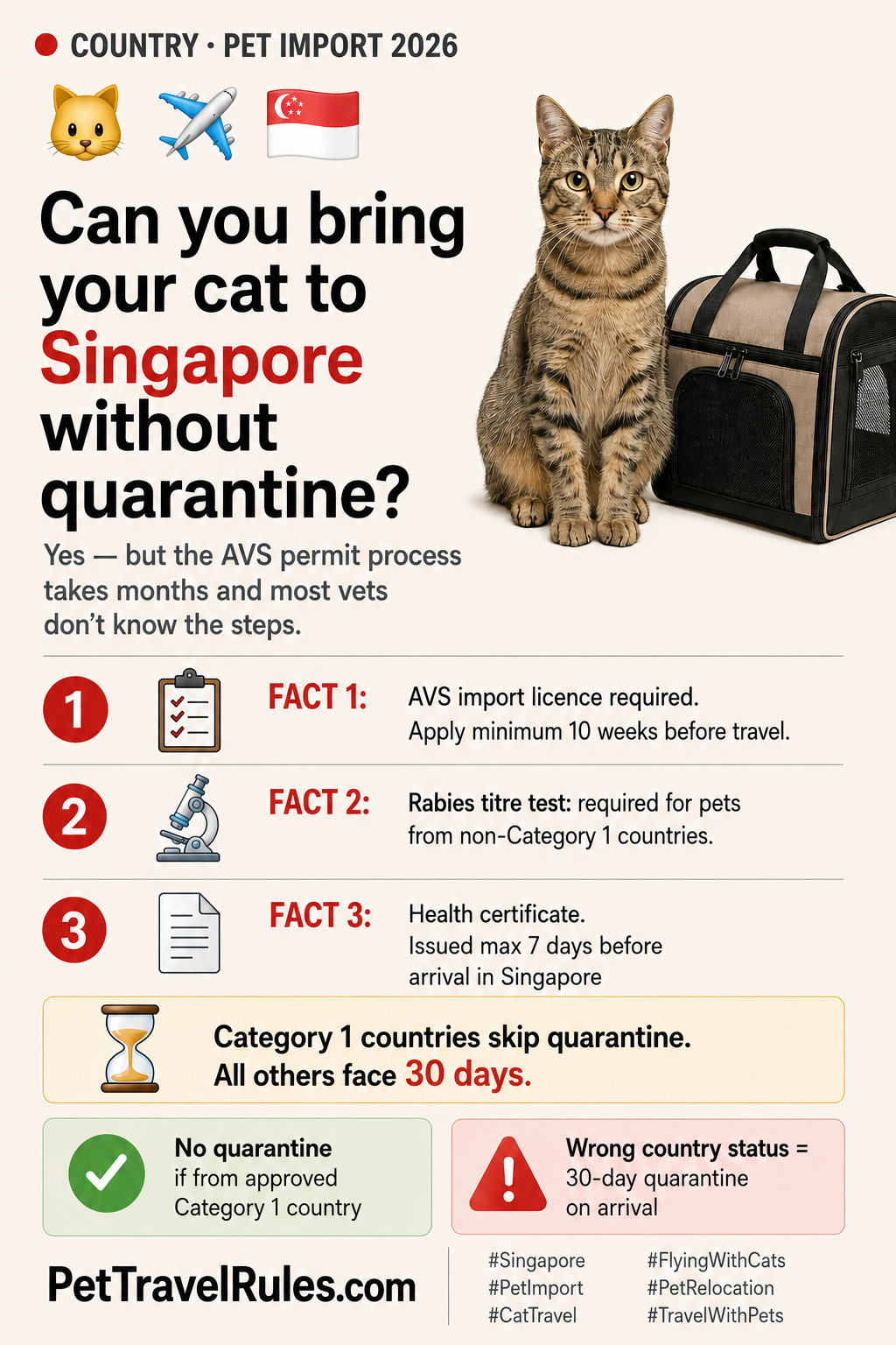 Singapore pet import guide preview with modern city and orchid motifs
