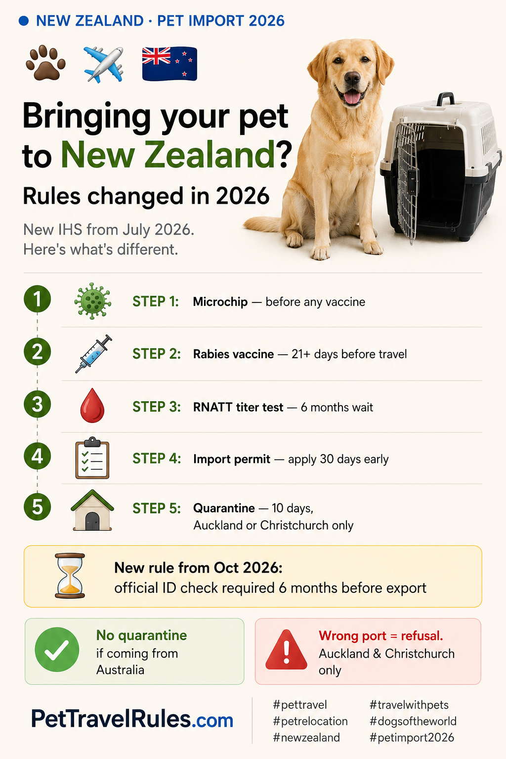 New Zealand pet import guide preview with fern and ocean motifs