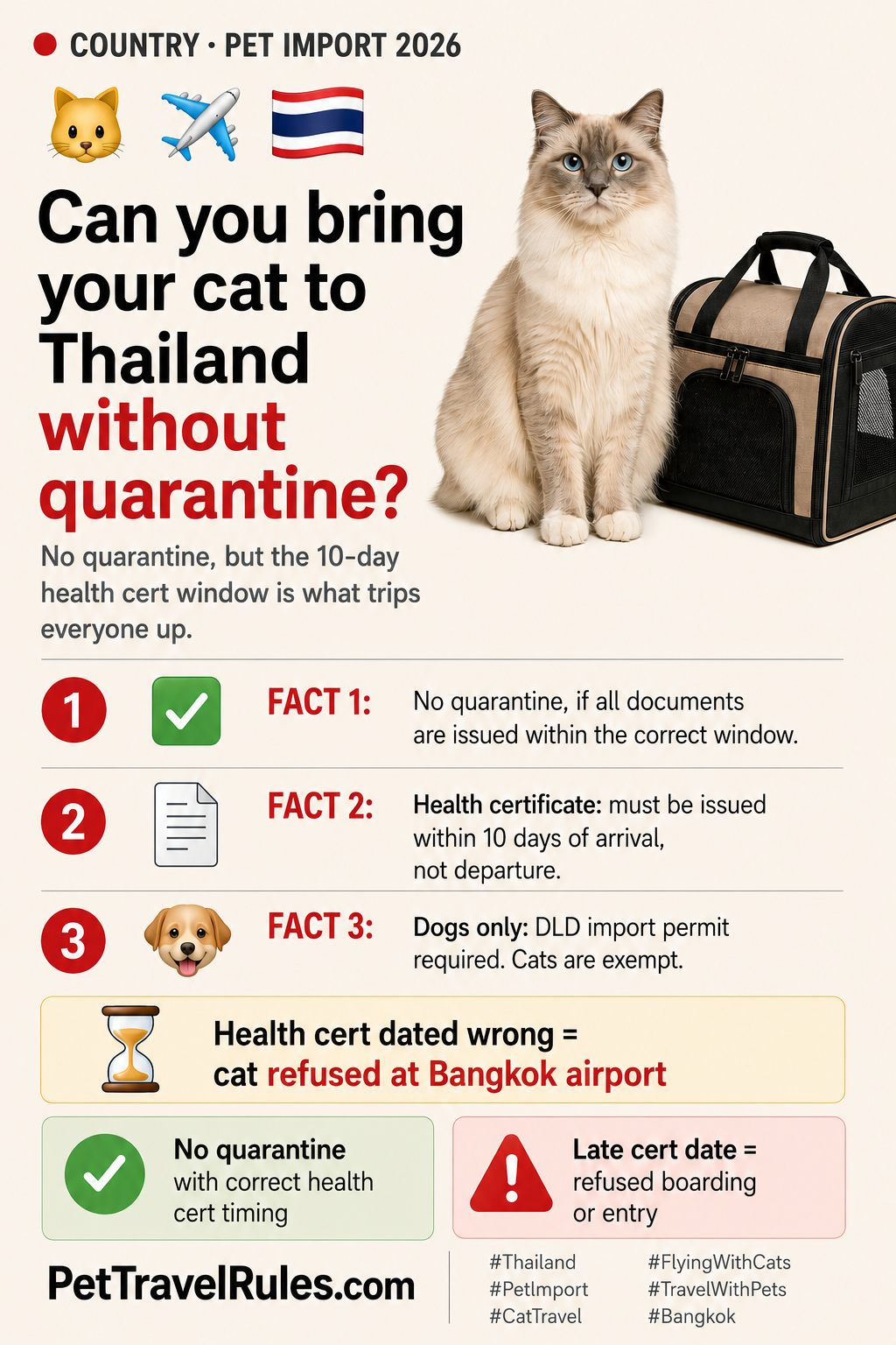 Thailand cat import guide preview with temple and palm motifs